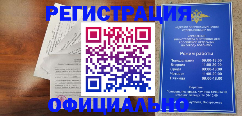 прописка поиск в Шадринске